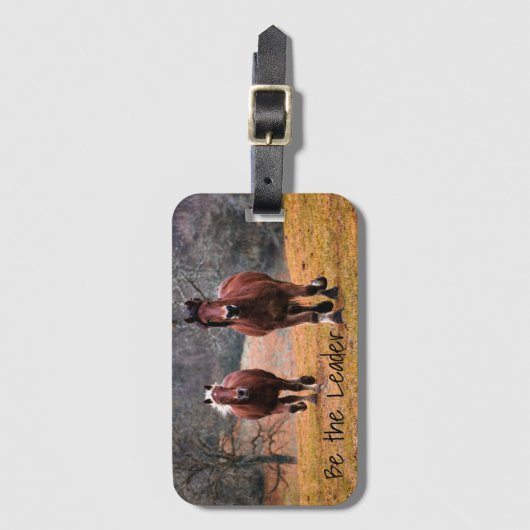 主力馬レースである ラゲッジタグ (正面縦)