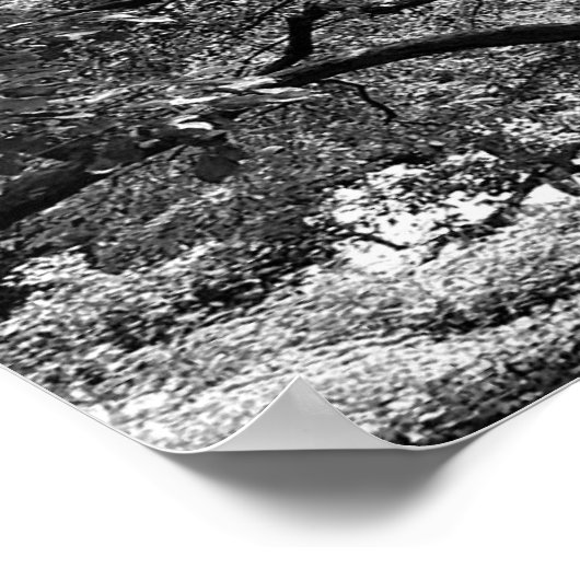 主動脈 ポスター (角)