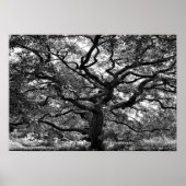 主動脈 ポスター (正面)