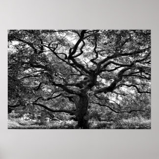 主動脈 ポスター