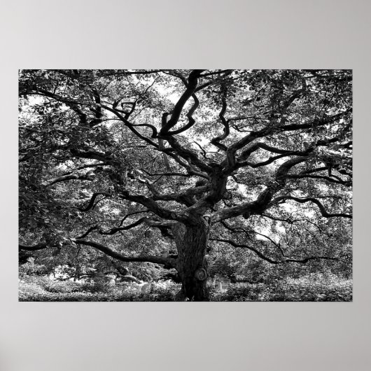 主動脈 ポスター (正面)