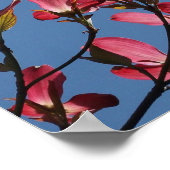 主救済来から ポスター (角)