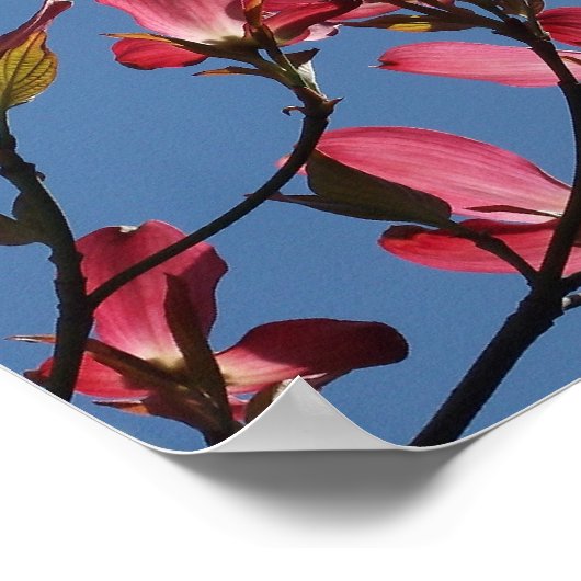 主救済来から ポスター (角)