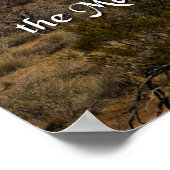 主救済来から ポスター (角)