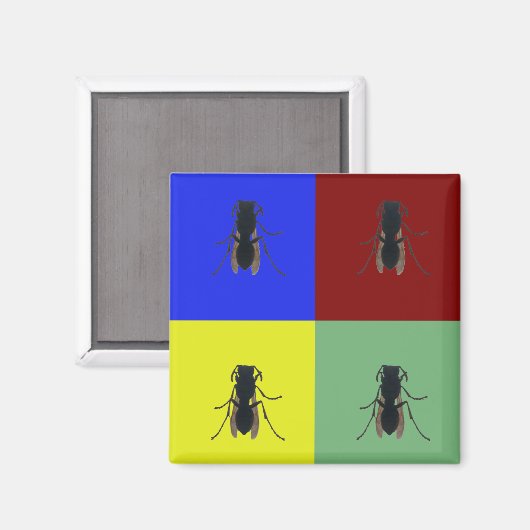 主翼 マグネット (正面/裏面)