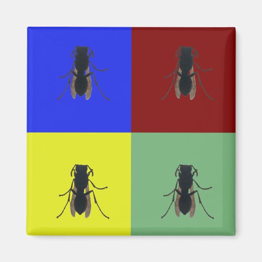 主翼 マグネット (正面)