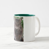 主要なあらいぐま猫のマグ ツートーンマグカップ (正面右)