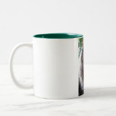 主要なあらいぐま猫のマグ ツートーンマグカップ (左)