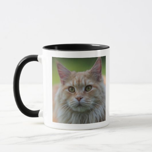 主要なあらいぐま猫 マグカップ (左)