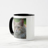 主要なあらいぐま猫 マグカップ (正面左)