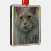 主要なあらいぐま猫 メタルオーナメント (右)