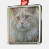 主要なあらいぐま猫 メタルオーナメント (左)