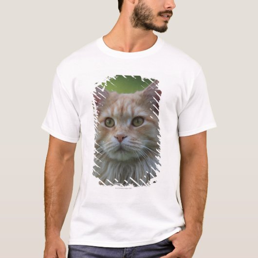主要なあらいぐま猫 Tシャツ (正面)