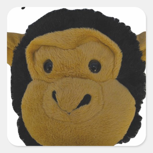 主要ボトル洗浄機 スクエアシール (正面)