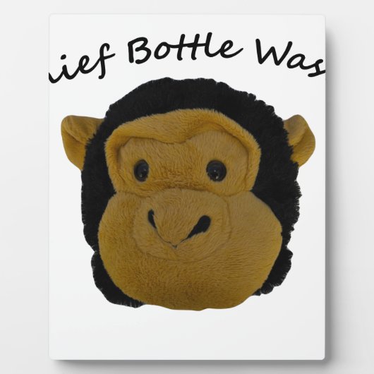 主要ボトル洗浄機 フォトプラーク (正面)