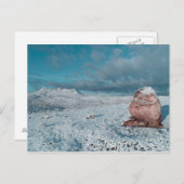 主親愛よ感謝してい、救いの賜物のためにあなた ポストカード (正面/裏面)