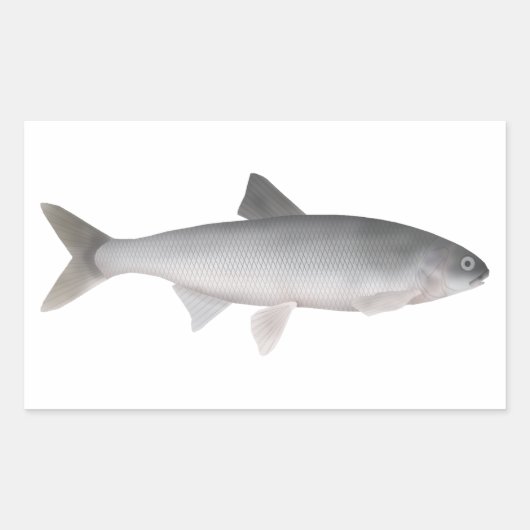 久トゥム 長方形シール (正面)