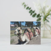 乗りに行くか? ポストカード (スタンド正面)