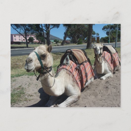 乗りに行くか? ポストカード (正面)