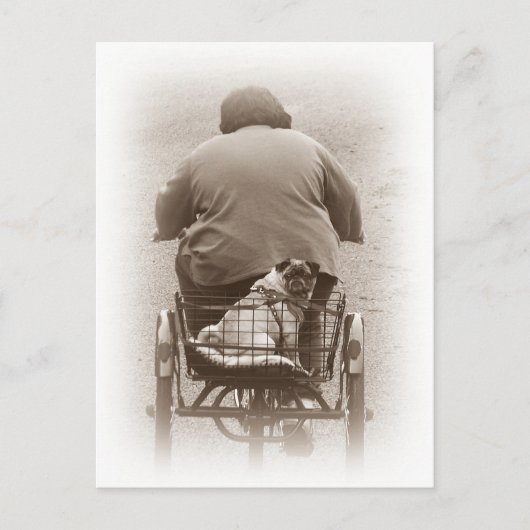 乗り葉書に行く男の子とパグ犬 ポストカード (正面)