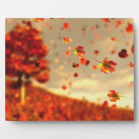 乗る10月ブリーズ写真プラーク フォトプラーク (正面)