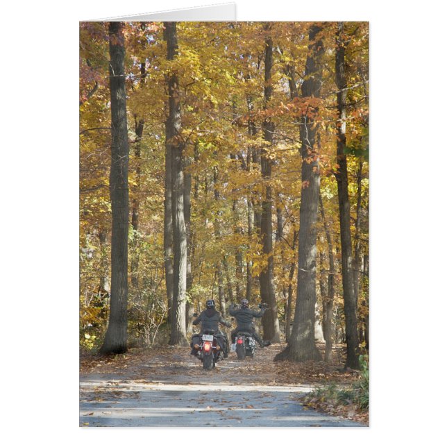 乗楽しむれ！ (正面)