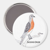 乗用鳩の冷凍機マグネット マグネット (正面/裏面)