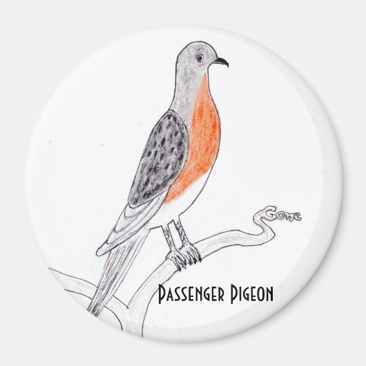 乗用鳩の冷凍機マグネット マグネット (正面)