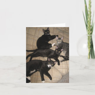 乗組員のブランクのメッセージカード カード