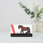 乗馬のインストラクターのコーチのトレーナーの馬の競争 名刺 (スタンド正面)