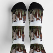 乗馬の力は4のために作るクルーソックス ソックス (上部)