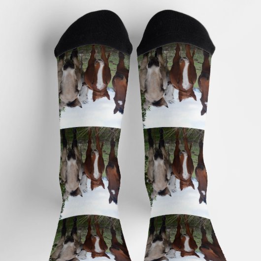 乗馬の力は4のために作るクルーソックス ソックス (上部)