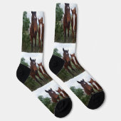 乗馬の力は4のために作るクルーソックス ソックス (右)