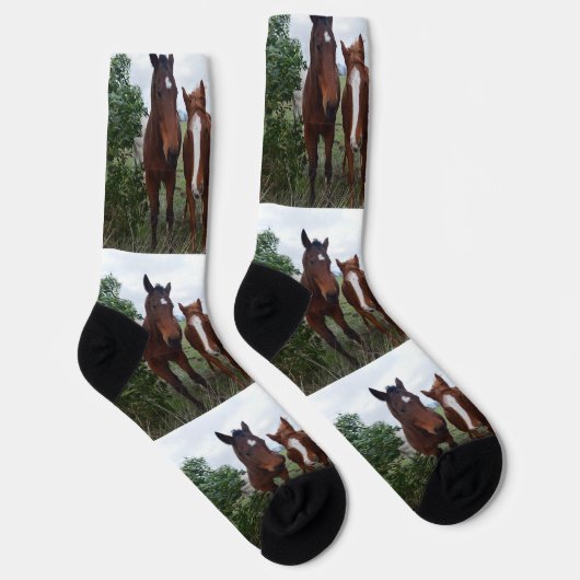 乗馬の力は4のために作るクルーソックス ソックス (右)