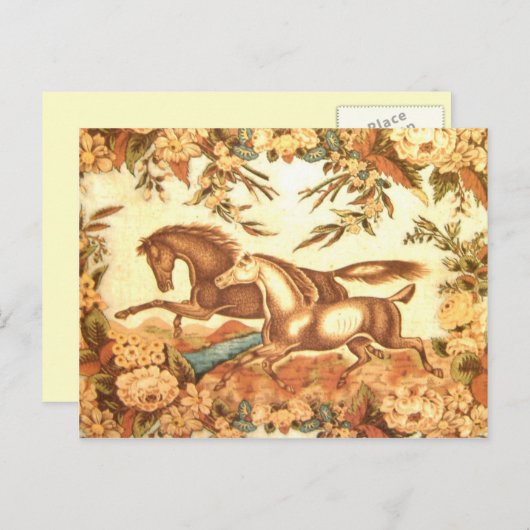 乗馬の馬の郵便はがき1 案内ポストカード (正面/裏面)