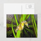 乗馬はがき ポストカード (正面/裏面)