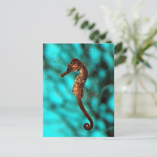 乗馬はがき ポストカード (スタンド正面)