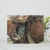 乗馬ウェスタンロデオカウボーイ (スタンド正面)