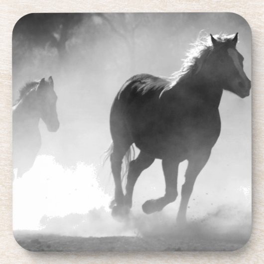 乗馬ランニング コースター (正面)