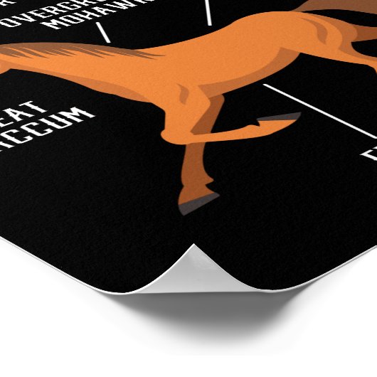 乗馬解剖学馬好き ポスター (角)