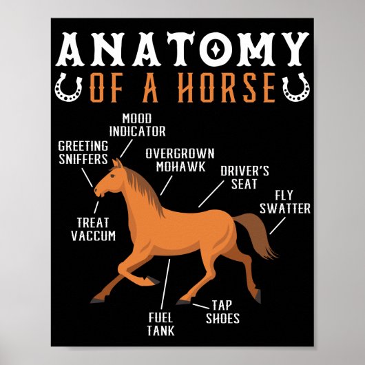 乗馬解剖学馬好き ポスター (正面)