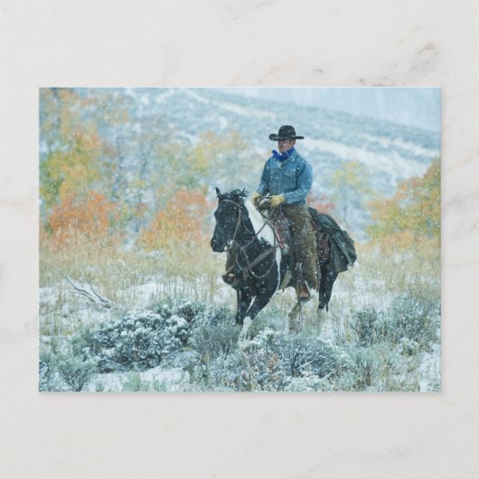 乗馬19 ポストカード (正面)