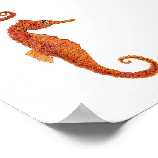 乗馬2頭 ポスター (角)