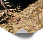 乗馬 ポスター (角)