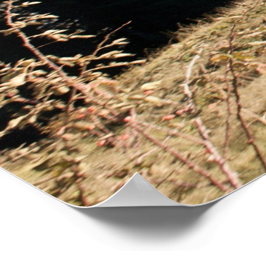 乗馬 ポスター (角)