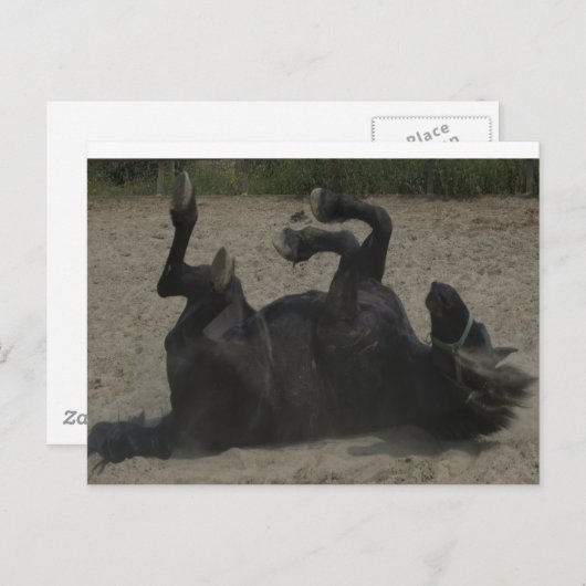 乗馬 ポストカード (正面/裏面)