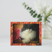 九生子猫と秋縁ど葉 ポストカード (スタンド正面)