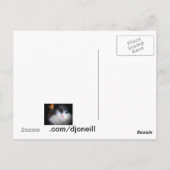 九生子猫と秋縁ど葉 ポストカード (裏面)