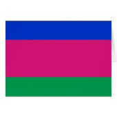 九番人民共和国国旗 (正面横)