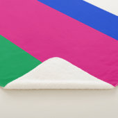 九番人民共和国国旗 シェルパブランケット (3/4)